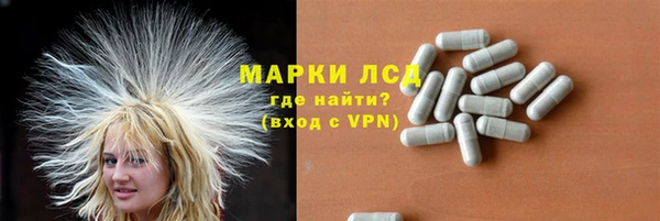 ГАЛЛЮЦИНОГЕННЫЕ ГРИБЫ Балахна