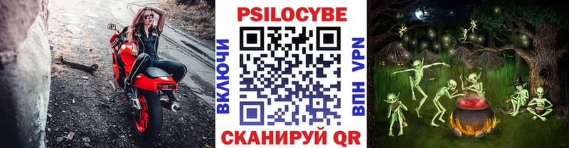 продажа наркотиков  darknet какой сайт  Псилоцибиновые грибы Cubensis  Унеча 